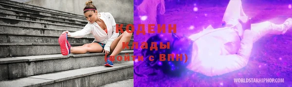 гашик Няндома