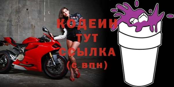 гашик Няндома