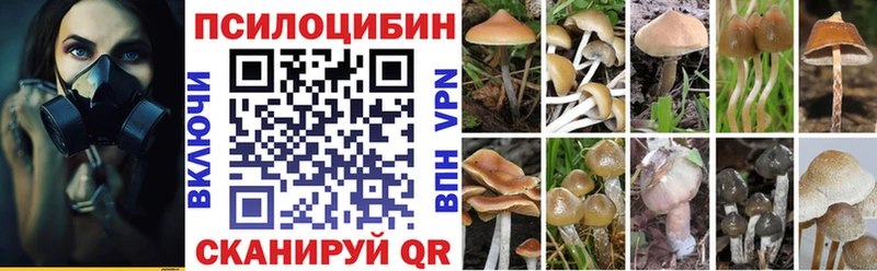 Псилоцибиновые грибы мицелий  нарко площадка официальный сайт  Тихорецк 