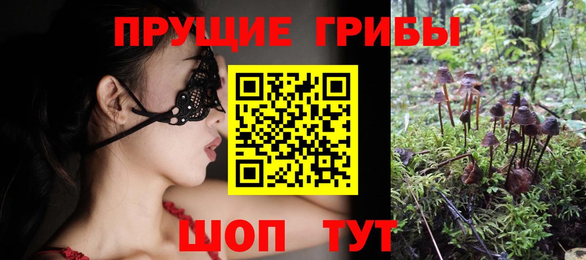 Галлюциногенные грибы Magic Shrooms Тихорецк